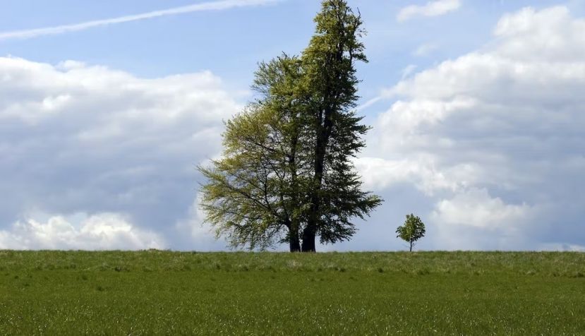 Carsten Medom Madsen / Shutterstock