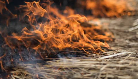 Impulsar el Pacto de Estado frente a la Emergencia Climática es clave para proteger a las personas y el territorio