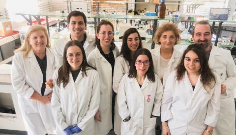 Un equipo de investigadores españoles ha comprobado la eficacia que los fármacos antioxidantes pueden tener para combatir los riesgos cardíacos entre las personas que padecen obesidad. En la imagen, los investigadores que han realizado el trabajo. Imagen cedida por el Instituto de Salud Carlos III (Ministerio de Ciencia e Innovación). EFE