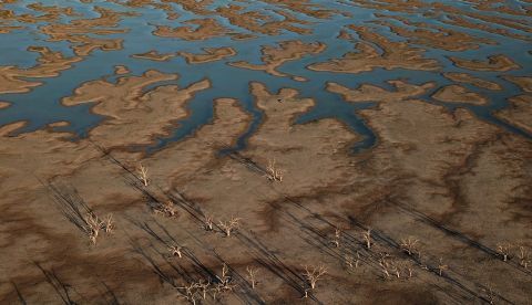 Los seres humanos causaron un cambio ambiental significativo en todo el mundo hace entre 3000 y 4000 años, mucho antes de lo estimado hasta ahora. EFE/Dean Lewins/Archivo 	   