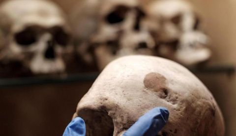 El ADN revela que la primera colonización de Canarias fue más compleja de lo que se pensaba