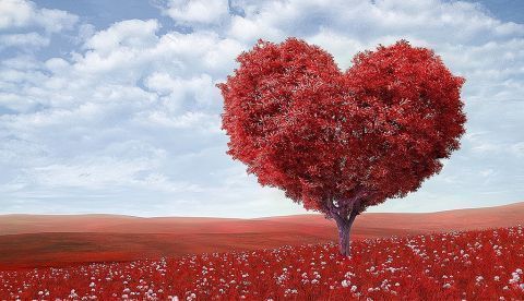 Febrero: ese mes tan largo…
