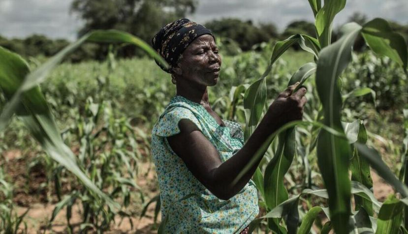 Informes clave de la COP27 y evidencias de una crisis que se agrava
