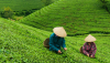 Mumemories/Shutterstock
