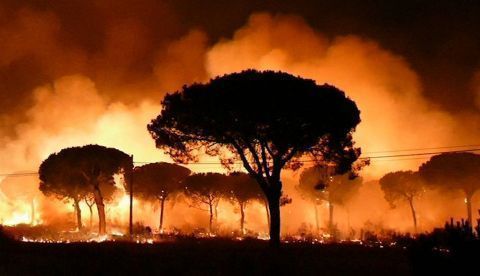 En invierno, se apagan los incendios de verano