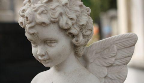Cupido en una foto de G. Bermejo vía Flickr.