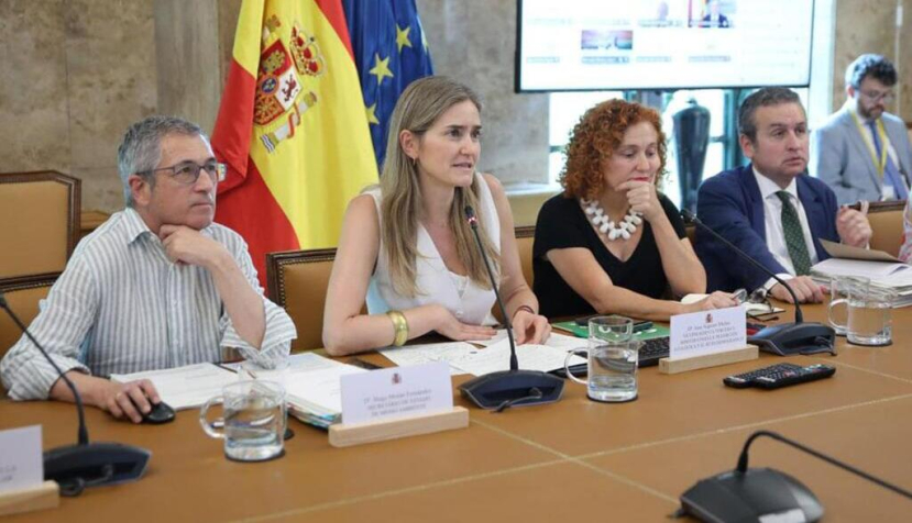 La vicepresidenta tercera y ministra para la Transición Ecológica y el Reto Demográfico, Sara Aagesen", en el transcurso de la Conferencia Sectorial de Medio Ambiente. / © lamoncloa.gob.es. Ministerio de la Presidencia.