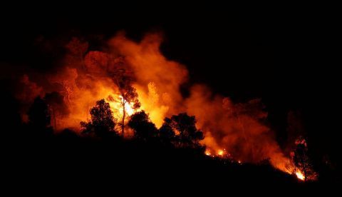 Casi 6.000 incendios han quemado más de 46.000 hectáreas