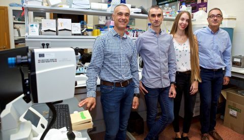 El controvertido Bisfenol A, un compuesto químico muy presente en nuestra vida cotidiana al emplearse para la fabricación de envases de plástico y el recubrimiento de latas de refrescos, entre otros usos, puede aumentar la sensación de dolor al modificar el comportamiento de las neuronas sensoriales, según han descubierto investigadores españoles. En la imagen, los investigadores autores del artículo (izqda a dcha), Juan Martínez-Pinna (UA), Sergi Soriano (UA), Minerva Gil (UA) y Ángel Nadal (UMH). EFE/Universidad Alicante 	   