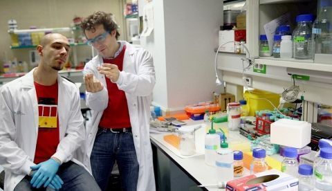 El doctor Pablo Menéndez, del Instituto de Investigación contra la Leucemia de la Fundación Josep Carreras, con un colaborador en el laboratorio del instituto. EFE/Toni Albir