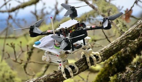 Un robot con patas inspiradas en el halcón para posarse como un pájaro