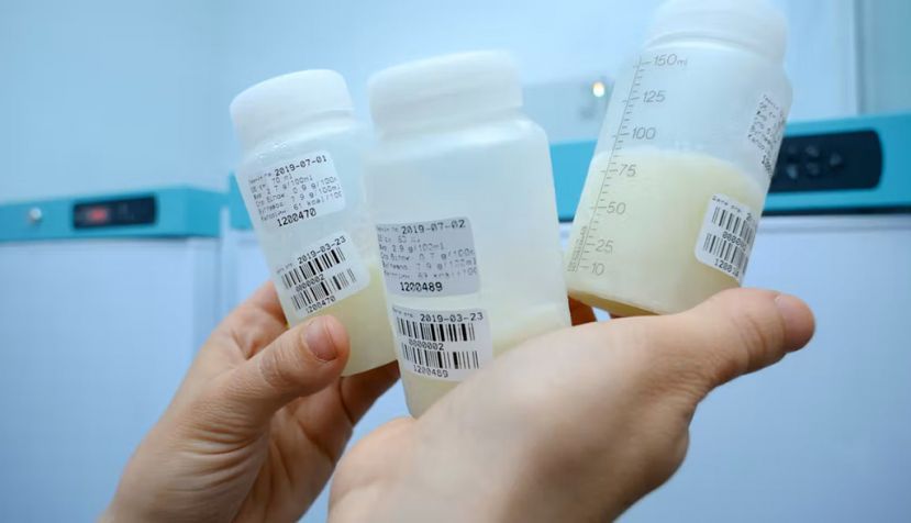 Contenedores de almacenamiento de leche materna. Shutterstock / Krysja