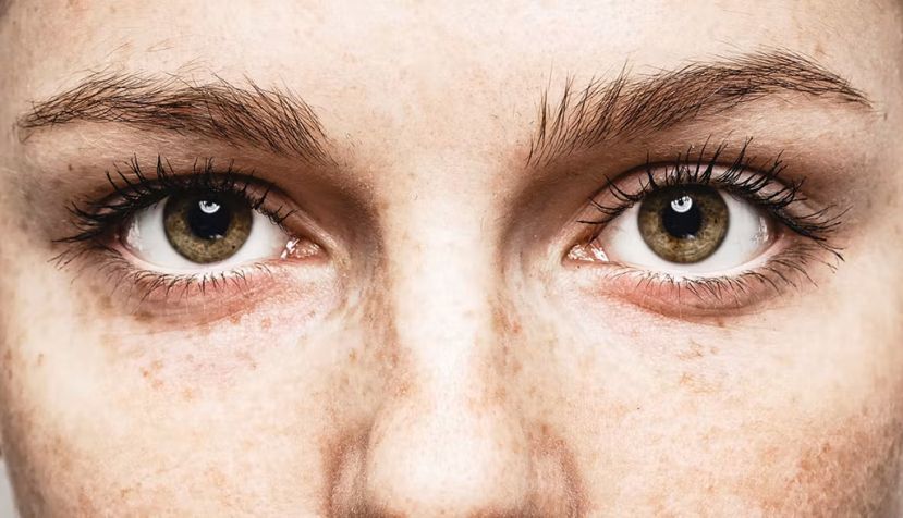 Irina Bg / Shutterstock