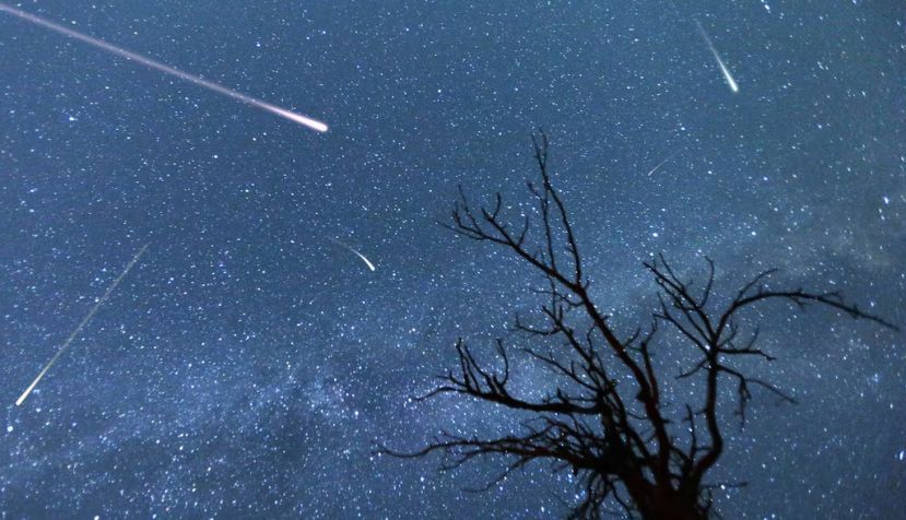 Lluvia de meteoros durante las Perseidas de 2015. Shutterstock / Belish