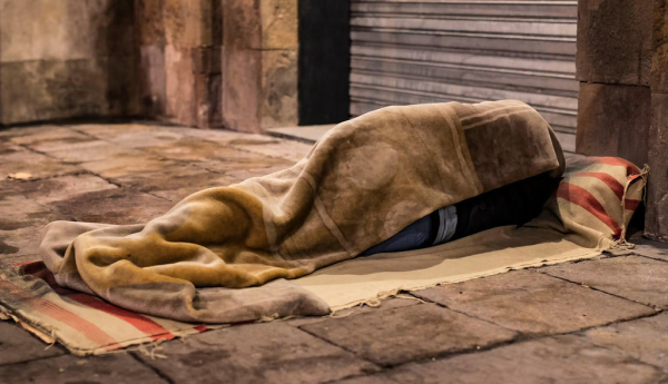 El artículo 47 de la Constitución: el derecho a la vivienda explicado a un niño de primaria