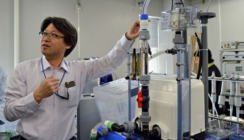 El profesor Chiaki Terashima lidera el desarrollo de un fertilizante líquido creado con plasma artificial y lleva a cabo las pruebas de cultivo de alimentos que están efectuando. EFE