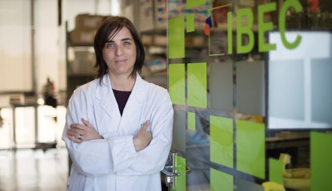 Nuria Montserrat, (en la imagen), del IBEC.EFE/ Marta Pérez