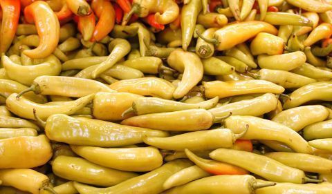 Los pimientos son oriundos de México, de ahí que se les conozca por su nombre en lengua nahuátl "chili" (chile), y han estado presentes en la dieta humana desde unos 7.500 años antes de Cristo, siendo uno de los cultivos más antiguos de América. EFE/Mario Guzmán/Archivo