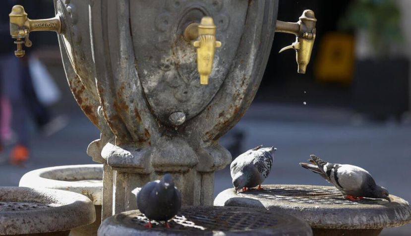 El desafío de la sequía: más regulación, ahorro y reutilización