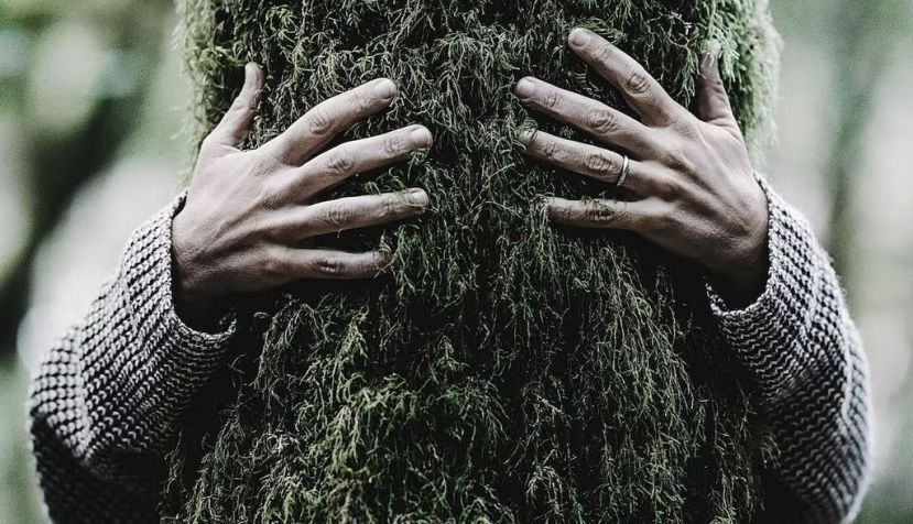 El nuevo reglamento de la UE para impedir el comercio de productos provenientes de la deforestación