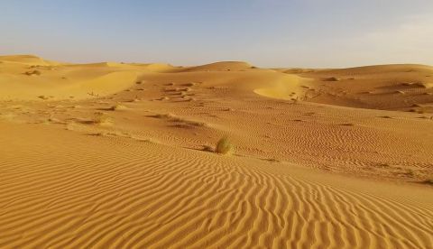 El Sahara no siempre fue un desierto