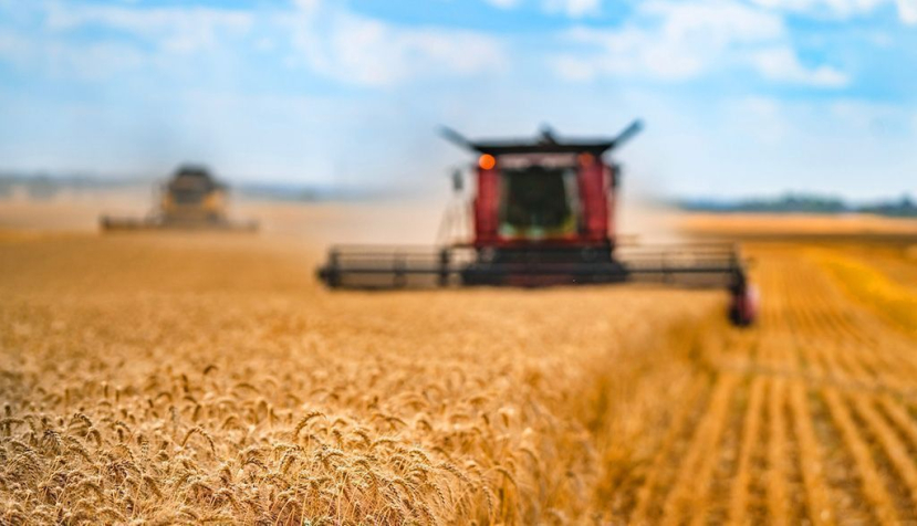 Planas: “El objetivo de la PAC debe ser garantizar una renta justa y suficiente a los agricultores y ganaderos”