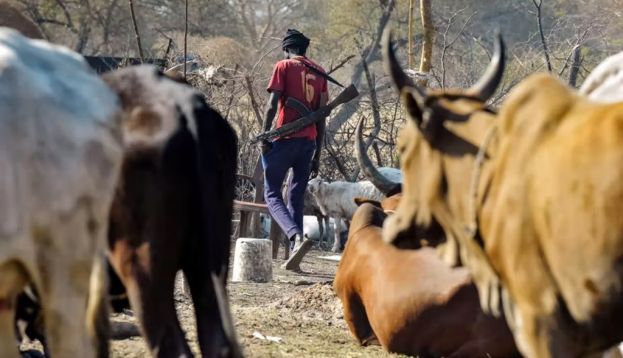 An armed man guards cattle in a village in South Sudan. Simon Maina/AFP via Getty Images