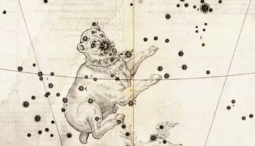  Lámina 38 de la Uranometria de Johann Bayer, 1603. Representa el Can Mayor, con Sirio como estrella más destacada. Véase el cinturón de Orión arriba a la derecha. Johann Bayer, Uranometria (1603)
