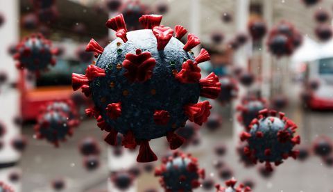 Una evaluación de la pandemia, y no una evaluemia