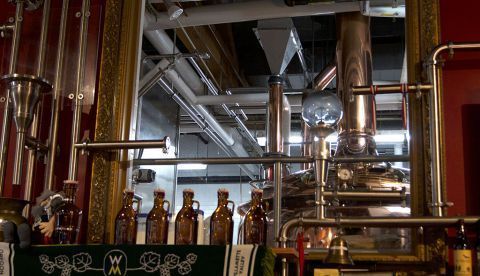 El análisis vincula los cambios moleculares en el cerebro con comportamientos que son centrales en la adicción, como elegir seguir bebiendo alcohol a pesar de ser uno consciente de que es malo para la salud. EFE/Archivo