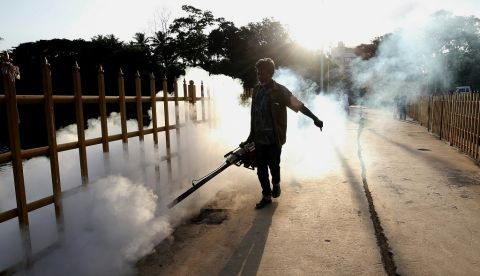 Vista de la silueta de un trabajador de la administración pública de Bangalore durante una fumigación para erradicar la amenaza de los mosquitos en el lago Ulsoor, en India. EFE/Jagadeesh/Archivo