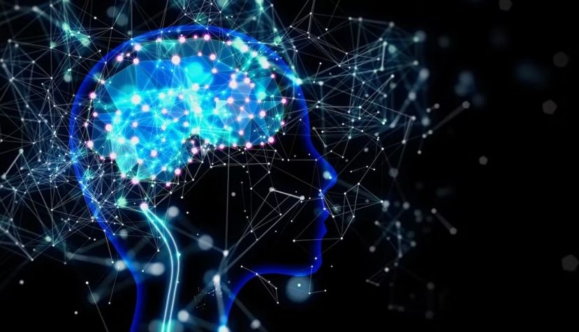 Un avance monumental: el primer atlas de las células del cerebro humano