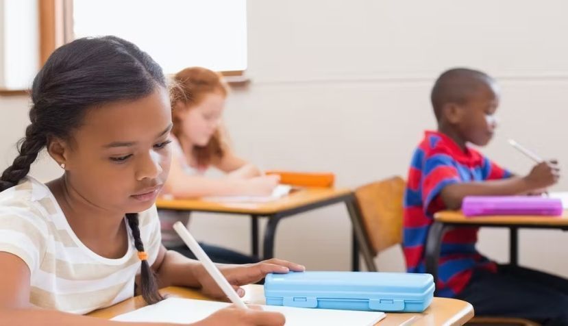 Investigación de Virgolim (2021). Revista Diálogos e Perspectivas en Educación Especial (2023).