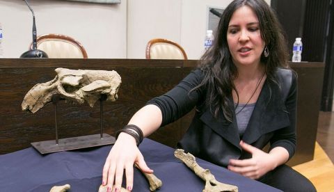 Ester Díaz, una de las investigadoras del grupo Aragosaurus de la Universidad de Zaragoza, explica algunos detalles de los fósiles de una nueva especie de sirenio o vaca marina, considerada la más antigua del oeste de Europa, (42 millones de años). EFE