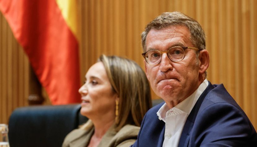 Feijóo, el bisoño