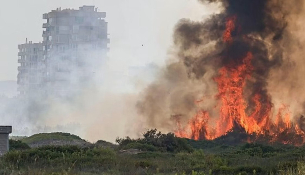 La cicatriu de l'incendi del Saler i per què no ens hem de preocupar per la crema de la palla de l'arròs
