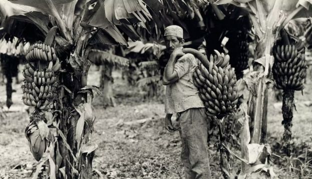 U.S. banana growers heavily influenced several Central American governments in the early 20th century. George Rinhart/Getty Images