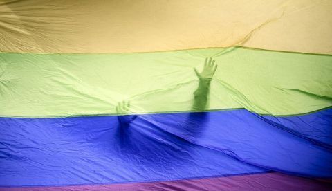 Todos los grupos menos Vox piden prohibir terapias para "curar" homosexuales