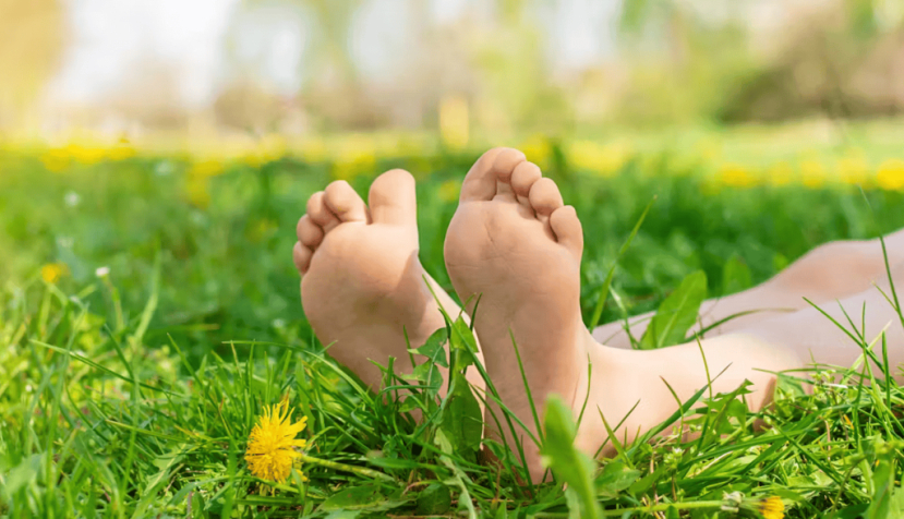 shutterstock. Tatevosian Yana/Shutterstock