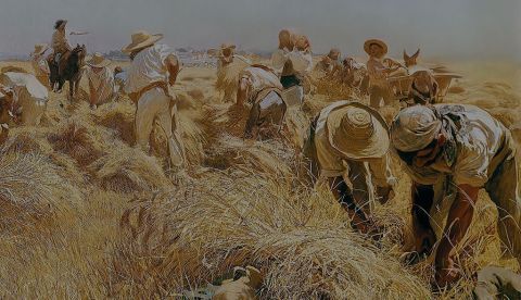 La Cátedra de Fisiología y Patología Vegetal de 1838