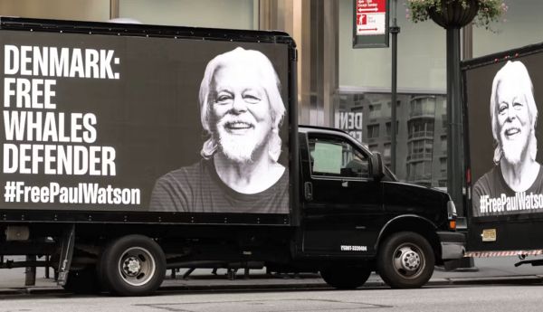 Publicité en faveur de la libération de Paul Watson devant l'ambassade du Danemark aux Etats-Unis. Lec Radin/shutterstock