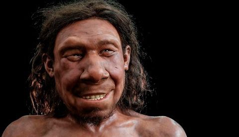 Reconstruido en los Países Bajos el rostro del primer neandertal neerlandés