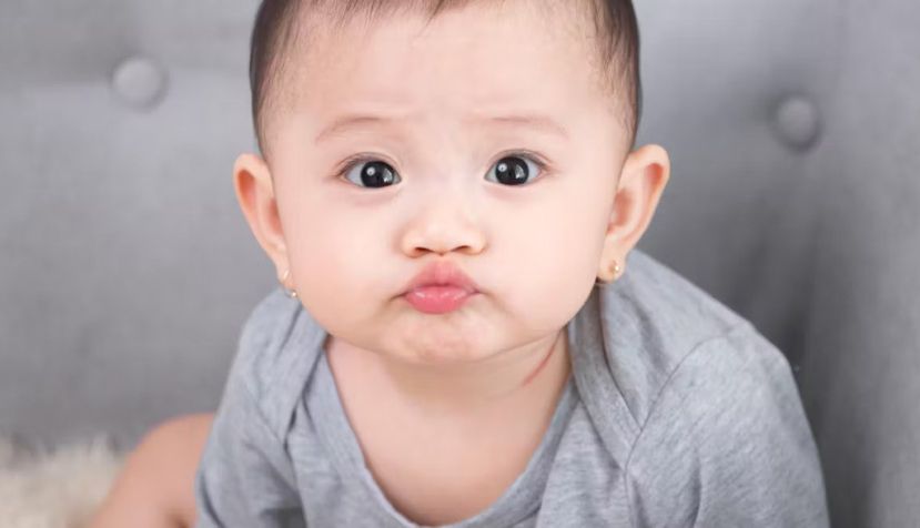 MAKI STUDIO / Alamy Stock Photo