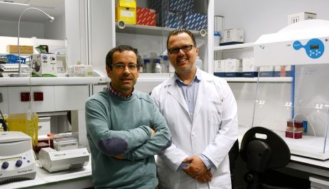 El equipo de investigación está encabezado por Antonio Salas y Federico Martinón. Imagen facilitada por la USC. EFE
