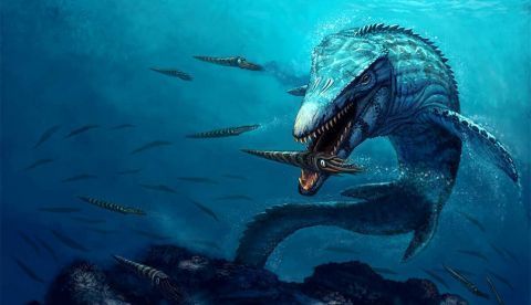 La temprana y rápida evolución de los gigantes oceánicos en el Mesozoico