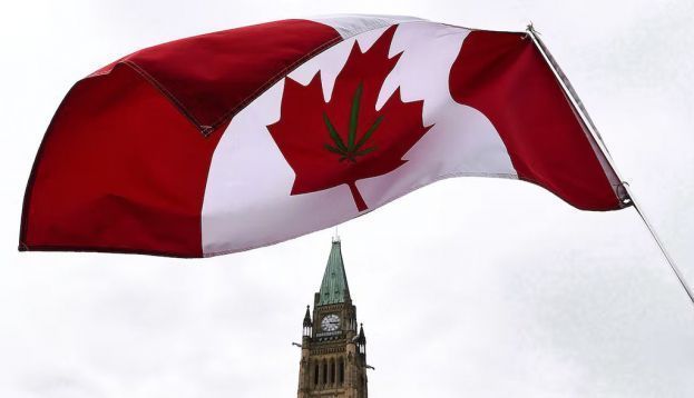 Four years ago, the Canadian government passed The Cannabis Act that legalized recreational cannabis. THE CANADIAN PRESS/Sean Kilpatrick