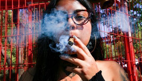 Nuevo paso para convertir en ley el consumo lúdico de marihuana en México
