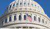 Becky Wright/Alamy