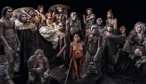 Los primeros Homo sapiens en Europa eran adaptables a condiciones del clima