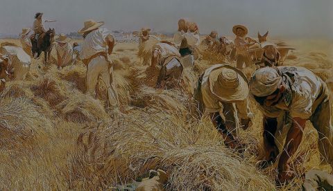 Jovellanos y las cartillas agrarias
